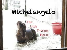 miniature therapy horse