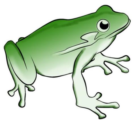 frog