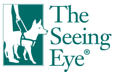 seeing eye